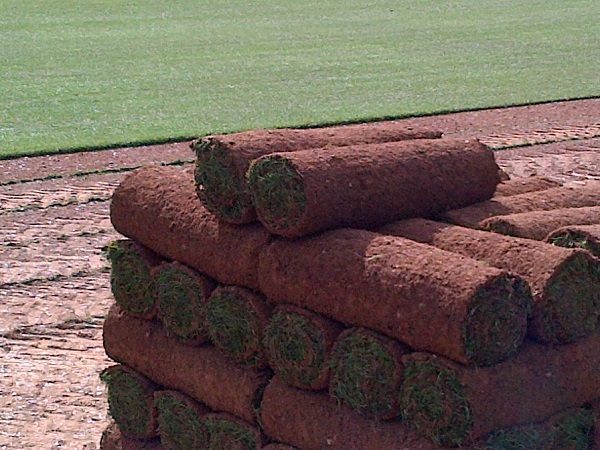 Turf Pallet